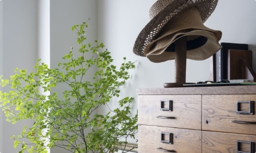 こだわりを丁寧に撮影